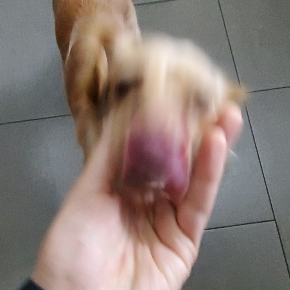 Meet your Posher, Mark